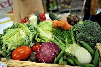 Microbioma alleato contro il mieloma: "Dieta ricca di fibre può frenarlo" Microbioma alleato contro il mieloma: "Dieta ricca di fibre può frenarlo"