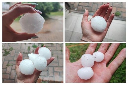 Confagricoltura chiede interventi contro il cambiamento climatico Confagricoltura chiede interventi contro il cambiamento climatico