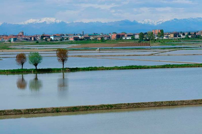 In Piemonte nuove zone per i fitosanitari In Piemonte nuove zone per i fitosanitari