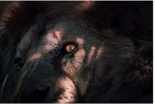 Riparte con l'assemblea dei soci l'attività de La Cinefoto Riparte con l'assemblea dei soci l'attività de La Cinefoto