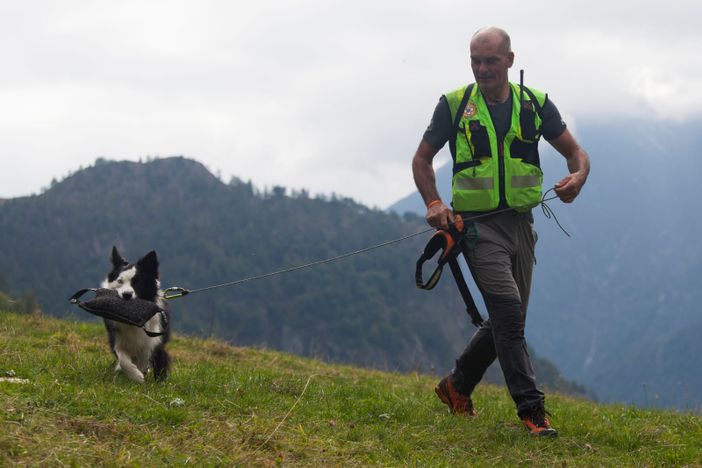 Una quindicina di cani da ricerca in azione in Valle Antrona Una quindicina di cani da ricerca in azione in Valle Antrona