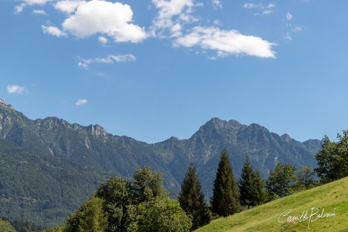 Concorso artistico sui quattro elementi per bambini e ragazzi Concorso artistico sui quattro elementi per bambini e ragazzi