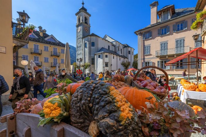 Santa Maria Maggiore si prepara alla ventesima edizione di Fuori di Zucca Santa Maria Maggiore si prepara alla ventesima edizione di Fuori di Zucca