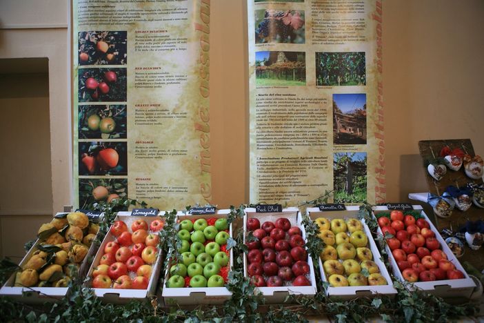 La Sagra MeleMiele compie 31 anni