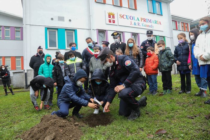 L'albero di Falcone crescerà nel cortile delle Kennedy FOTO L'albero di Falcone crescerà nel cortile delle Kennedy FOTO