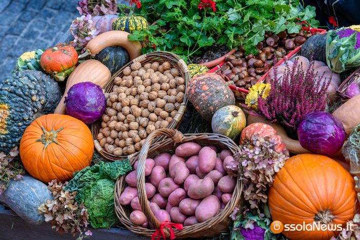 A Santa Maria Maggiore un fine settimana dedicato all'autunno A Santa Maria Maggiore un fine settimana dedicato all'autunno