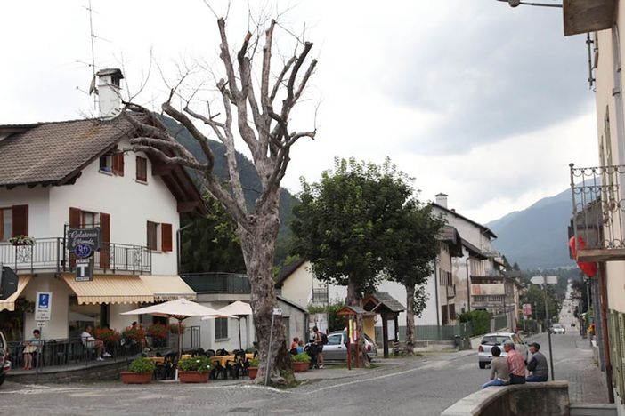 Malesco ricorda il passato con “Voci resistenti” Malesco ricorda il passato con “Voci resistenti”