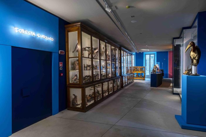 Il 18 giugno l'attesa inaugurazione dei Musei Civici Galletti a Palazzo San Francesco FOTO