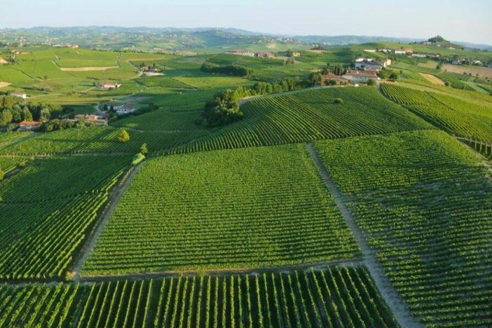 Il biologico piemontese cresce grazie alla cooperazione