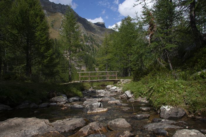 Con Casacomune e Cai esplorazioni e dialoghi all'Alpe Devero Con Casacomune e Cai esplorazioni e dialoghi all'Alpe Devero