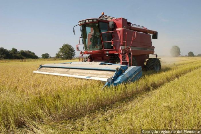 Caporalato in agricoltura, la Commissione Legalità: “Fenomeno complesso, servono interventi strutturali” Caporalato in agricoltura, la Commissione Legalità: “Fenomeno complesso, servono interventi strutturali”