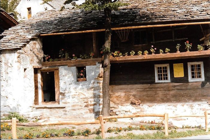 Al Museo Walser di Borca la mostra 'Natura Viva-Natura Morta'