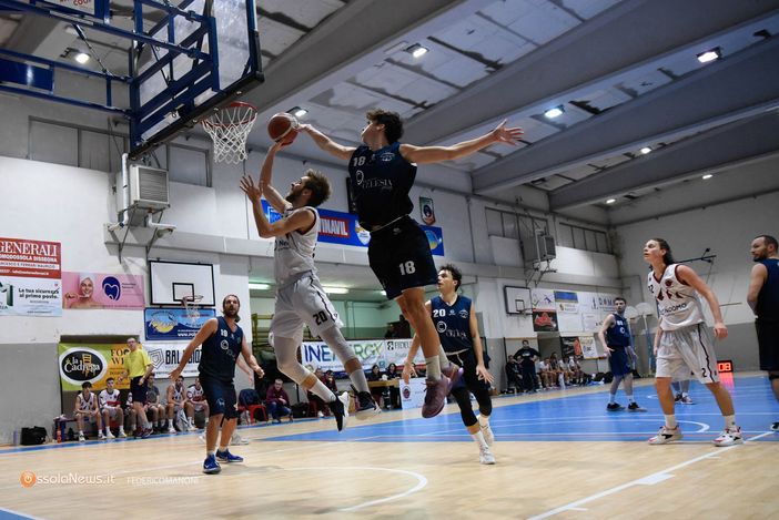 Successo per la Findomo Pediacooph24, 93-54 contro gli Spartans Borgomanero