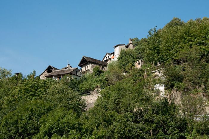 'Terrazze con vista': giornata di raccolto tra segale e lavanda in Valle Antrona 'Terrazze con vista': giornata di raccolto tra segale e lavanda in Valle Antrona