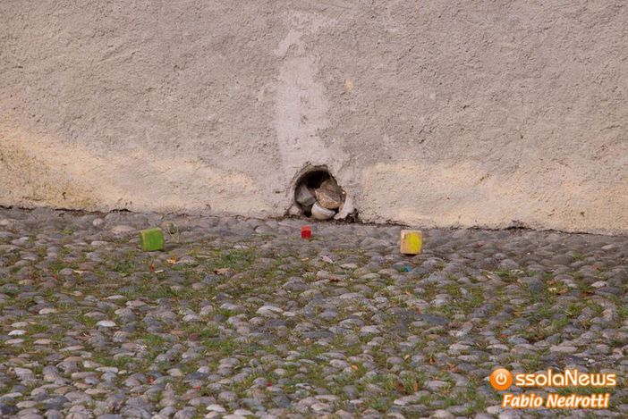 Torna il 16 e 17 ottobre a Malesco il torneo di Bocce Quadre