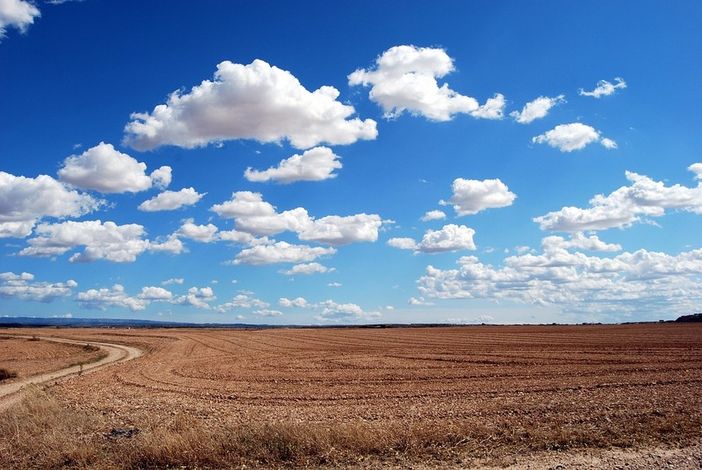 Bandi per interventi agro-climatico-ambientali, agricoltura biologica e benessere animale: prorogata la scadenza