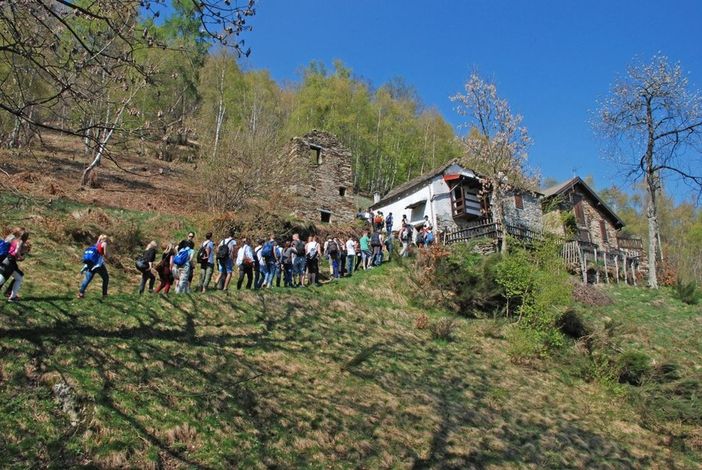 A spasso tra i paesaggi terrazzati del Parco Val Grande