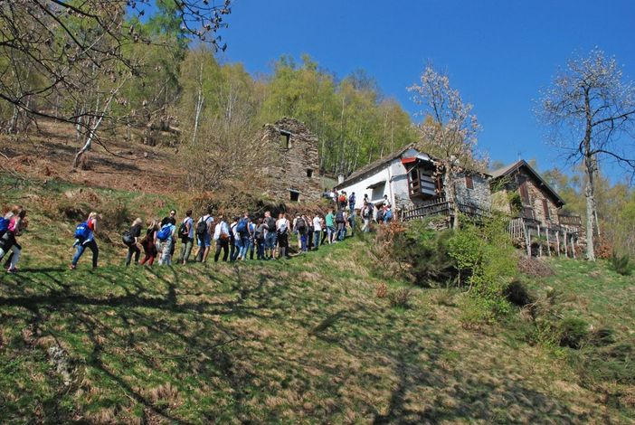 A spasso tra i paesaggi terrazzati del Parco Val Grande