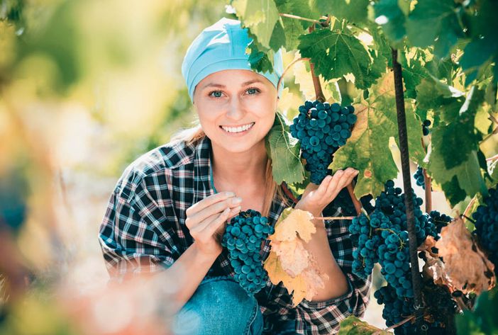Il lago Maggiore “vetrina” per 100 donne produttrici di vino Il lago Maggiore “vetrina” per 100 donne produttrici di vino
