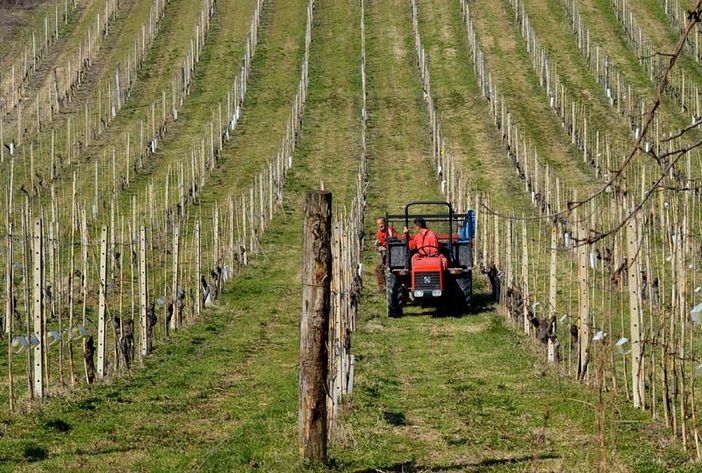 Imprenditoria giovanile, Coldiretti Piemonte: &quot;Servono semplificazioni per l'accesso alla terra&quot;