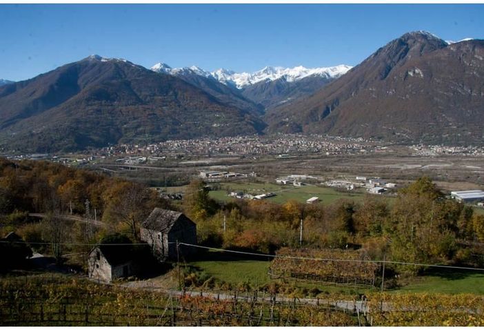 La Roggia dei Borghesi cerca un nuovo presidente La Roggia dei Borghesi cerca un nuovo presidente