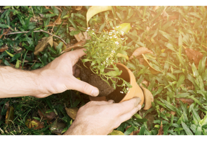 Energia verde e nuove tecnologie: se ne parla a Vercelli Energia verde e nuove tecnologie: se ne parla a Vercelli