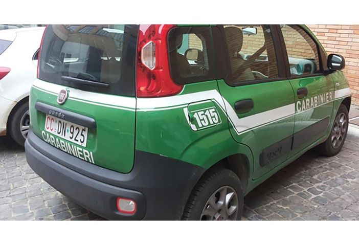 Fa volare un drone alla cima Laurasca, denunciato dai Carabienieri Forestali