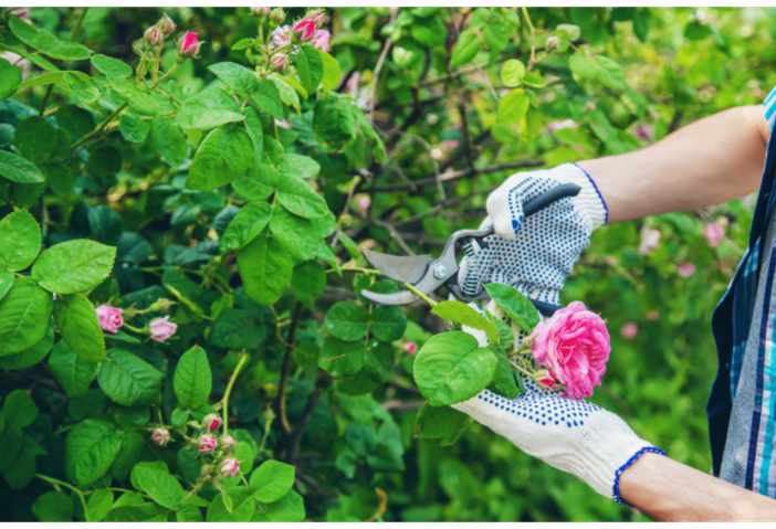 Dall’ Unione Montana delle Valli dell’Ossola un bando per 4 disoccupati