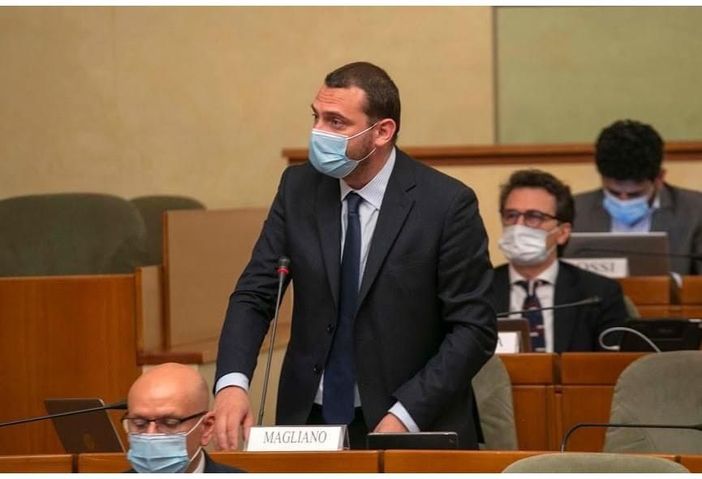 Magliano: &quot;Il Piemonte riconosca la fibromialgia come malattia cronica e invalidante&quot;