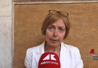 Terenghi (Wec): "Volatilità dei prezzi dell'energia è principale preoccupazione" Terenghi (Wec): "Volatilità dei prezzi dell'energia è principale preoccupazione"