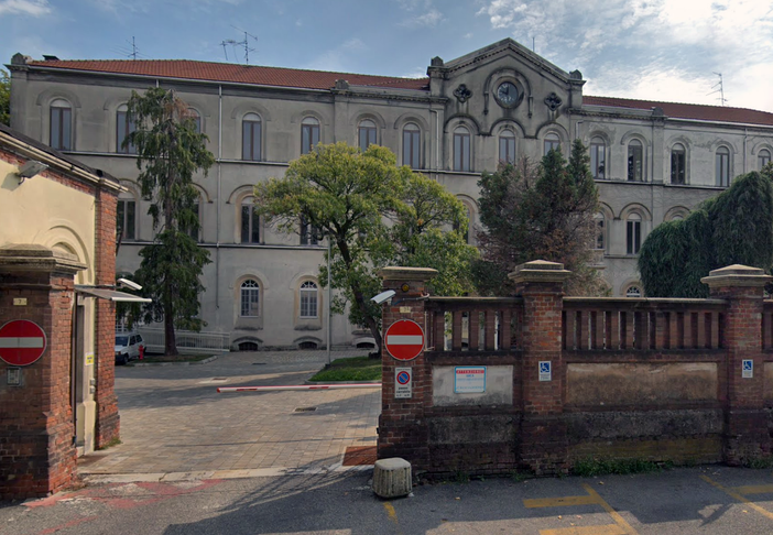 Covid, indentificato il primo caso di variante inglese su un gatto che vive nel novarese