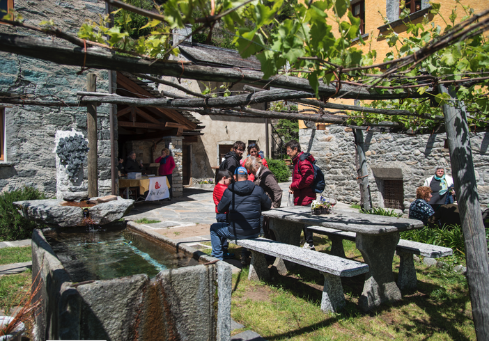 Il 13 maggio torna 'Ossola in Cantina' Il 13 maggio torna 'Ossola in Cantina'