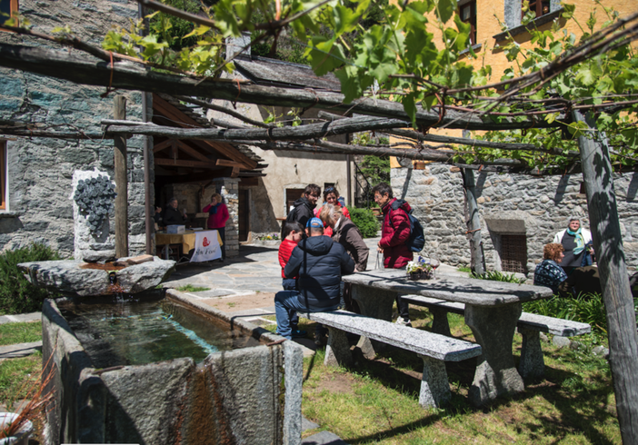 Conto alla rovescia per 'Ossola in Cantina'