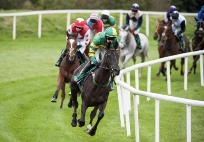 Come scommettere sui cavalli – Guida di base per principianti Come scommettere sui cavalli – Guida di base per principianti