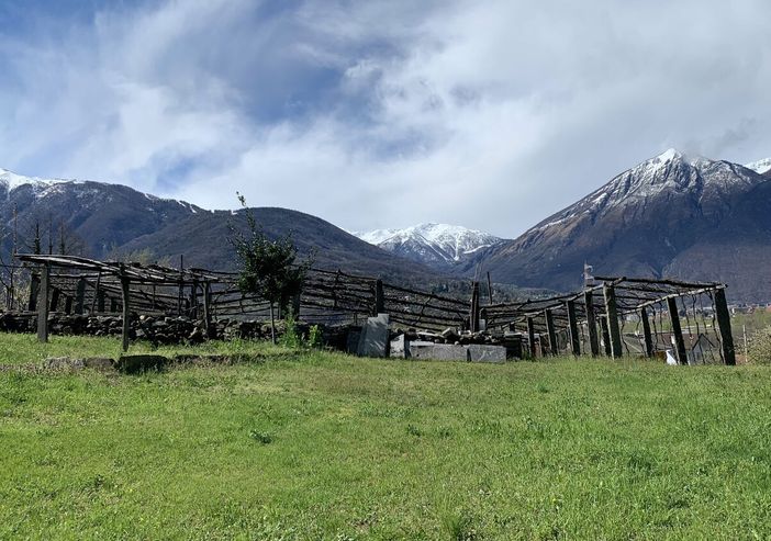 Coldiretti: “La Regione intervenga subito per salvare l’agricoltura piemontese”
