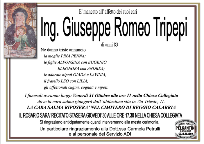 Ing. Giuseppe Romeo Tripepi83 anni