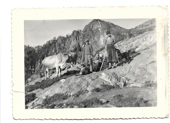 Alpeggi delle Alpi: alpi e alpigiani in Val d’Ossola