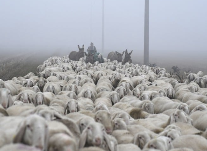 Viaggio tra realtà e sogni con le immagini di Mario Motta