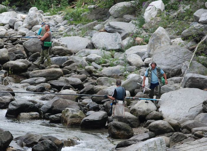 Dalla Regione 1,5 milioni di euro per la pesca e acquacoltura in Piemonte Dalla Regione 1,5 milioni di euro per la pesca e acquacoltura in Piemonte