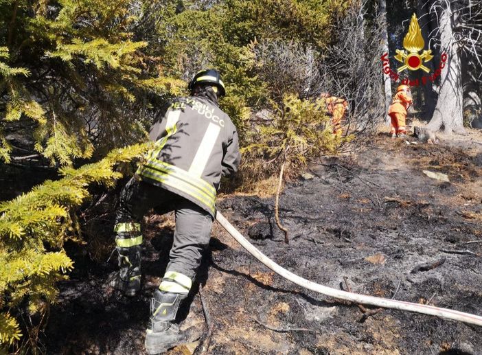 Incendio nel bosco alla Piana di Vigezzo: intervento dei vigili del fuoco