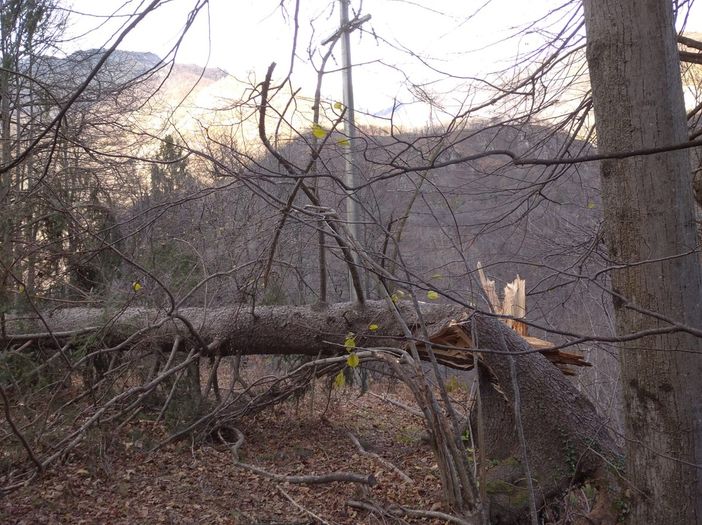 E' tornata l'energia elettrica ad Anzino E' tornata l'energia elettrica ad Anzino