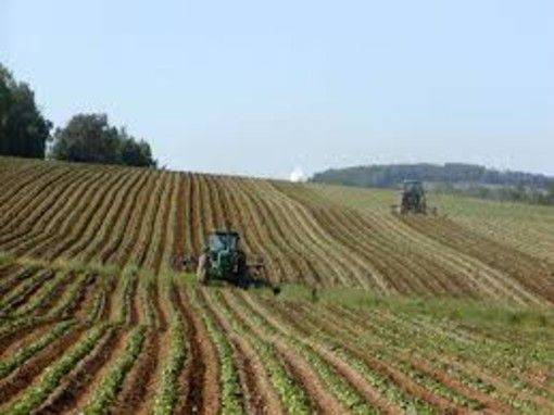 Psr Piemonte, bando da 2 milioni di euro per progetti pilota di bioeconomia nelle filiere agricole