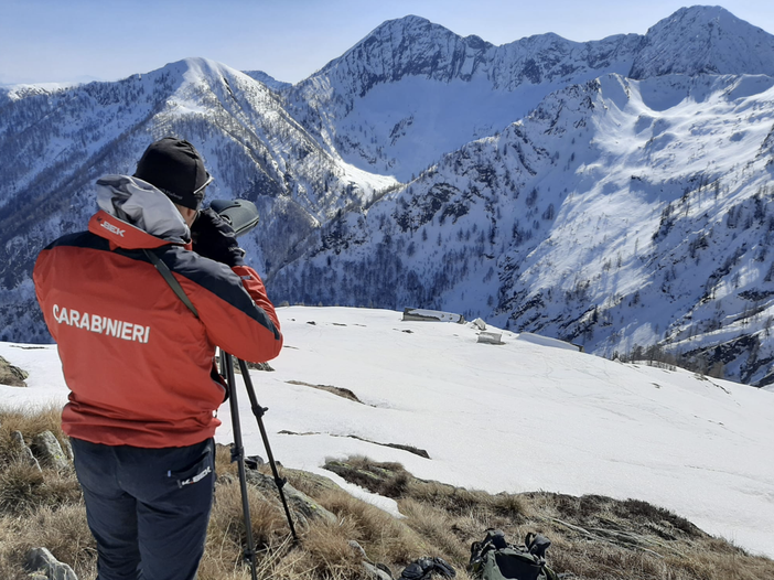 Trovate impronte di un orso in Val Grande Trovate impronte di un orso in Val Grande