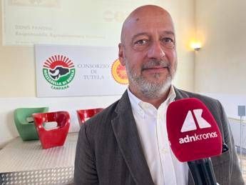 Made in Italy, Saccani (Mozzarella di Bufala Campana Dop): "Innovare per restare tradizione"