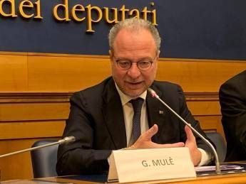 Mulè (Fi): "Istituzioni al fianco di Circular for Kids e dei piccoli pazienti oncologici"