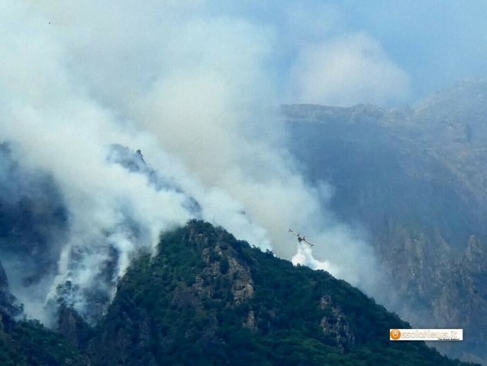 Incendi nel Vco, arriva un altro rinforzo dal cielo: l'elicottero Erickson S64 sarà operativo da Cameri Incendi nel Vco, arriva un altro rinforzo dal cielo: l'elicottero Erickson S64 sarà operativo da Cameri