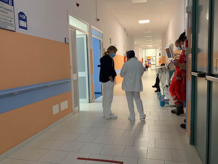 Maxi concorso per infermieri rallentato dal ricorso al Tar, l'Ordine: "Preoccupati per la tenuta del Sistema sanitario"