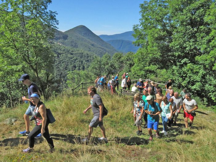 Foto Archivio Foto Archivio