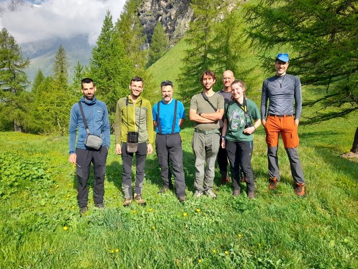 Aree protette dell'Ossola, completato il censimento primaverile della pernice bianca