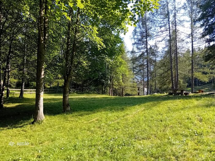 Annullato l’evento “Raccontalo alle api” all’Alpe Gomba in Val Bognanco